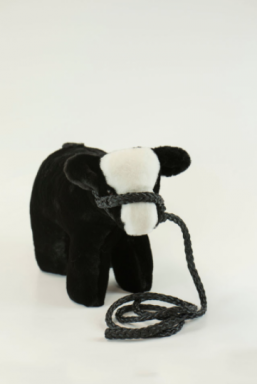 Medium Plush Calf Black Baldy